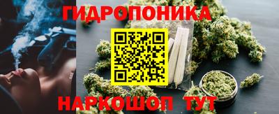 эйфоретик Донской