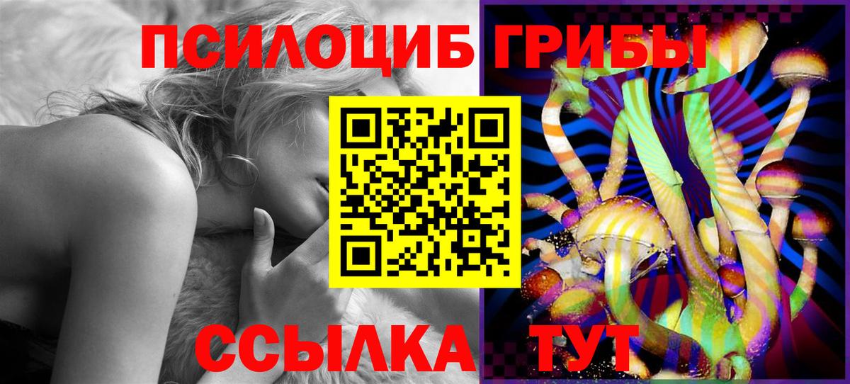 Галлюциногенные грибы Psilocybine cubensis Майкоп