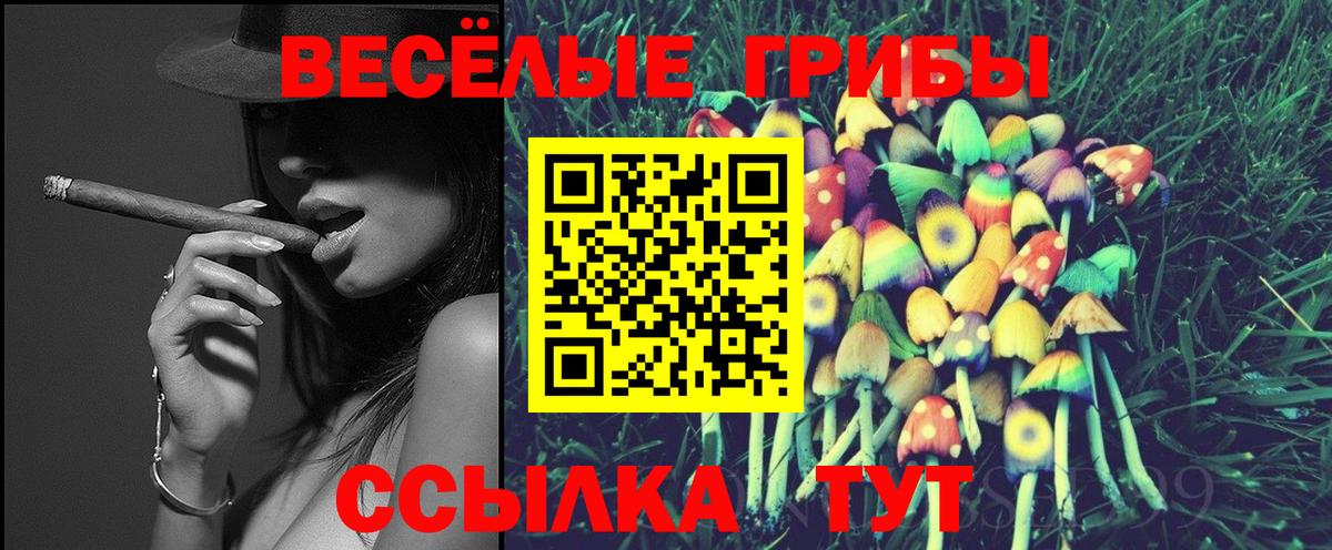 Псилоцибиновые грибы Cubensis  Вход с VPN  Псилоцибиновые грибы MAGIC MUSHROOMS  хочу наркоту  Майкоп 